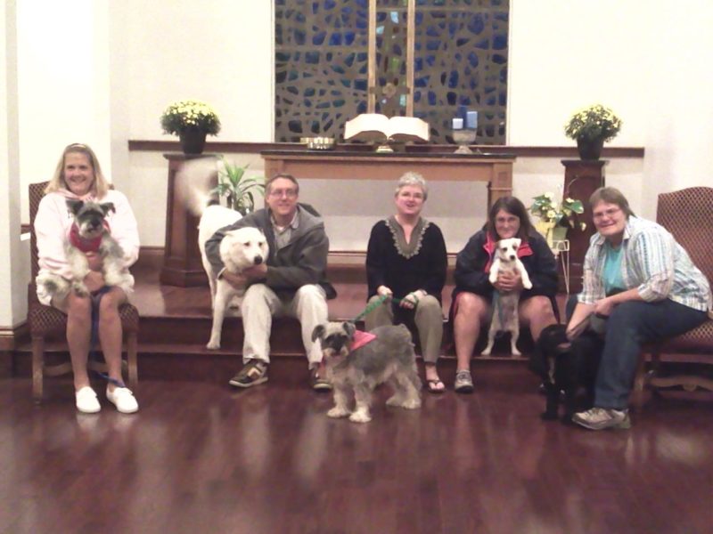 church members sit in an arc holding their dogs